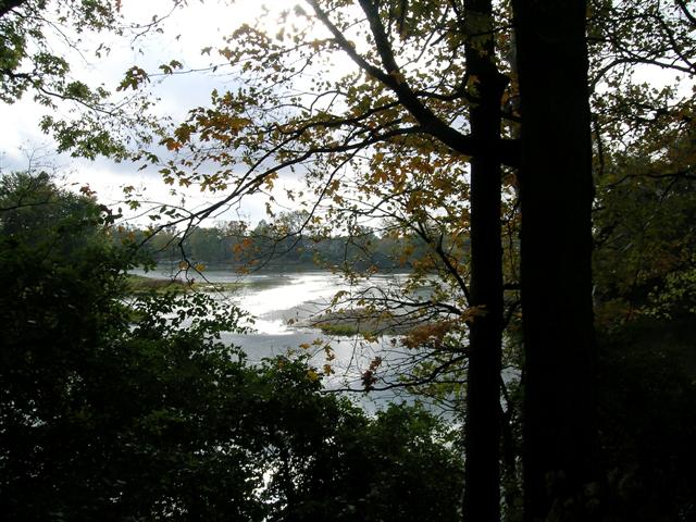 WHITE RIVER FROM CEMETERY